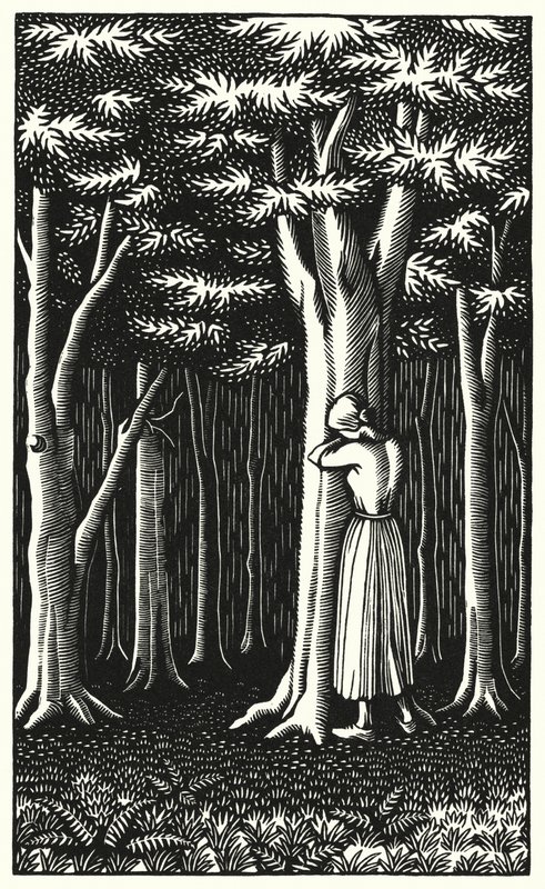 Illustration für Tess von den d