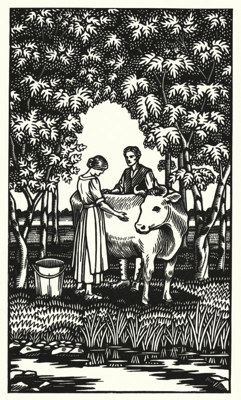 Illustration für Tess von den d