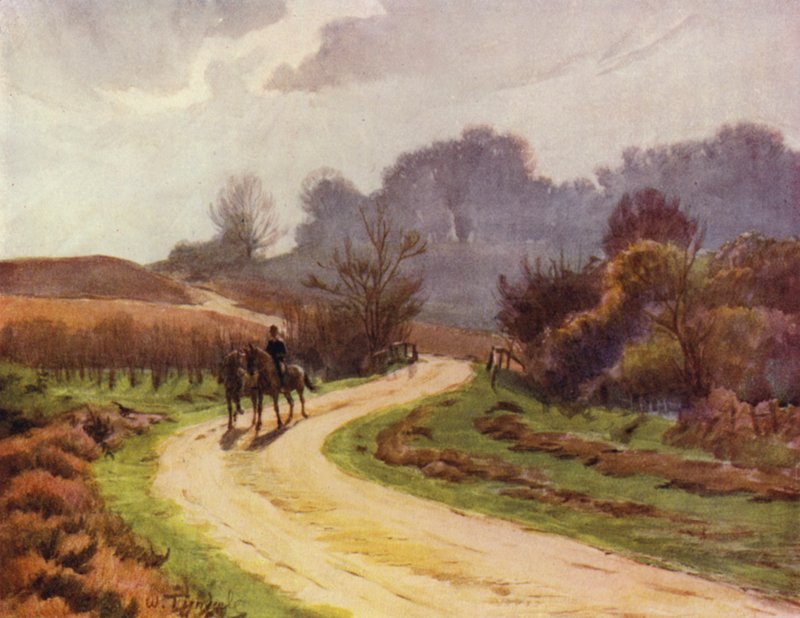 Der New Forest: Beaulieu, Lyndhurst von Walter Frederick Roofe Tyndale