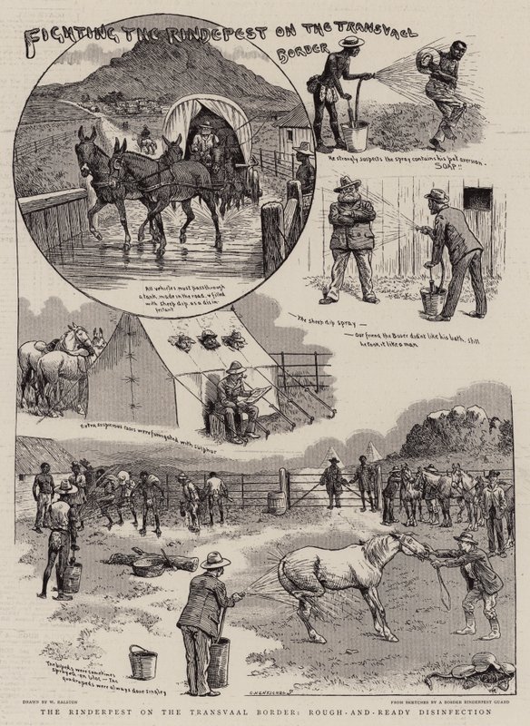 Bekämpfung der Rinderpest an der Grenze des Transvaal von William Ralston