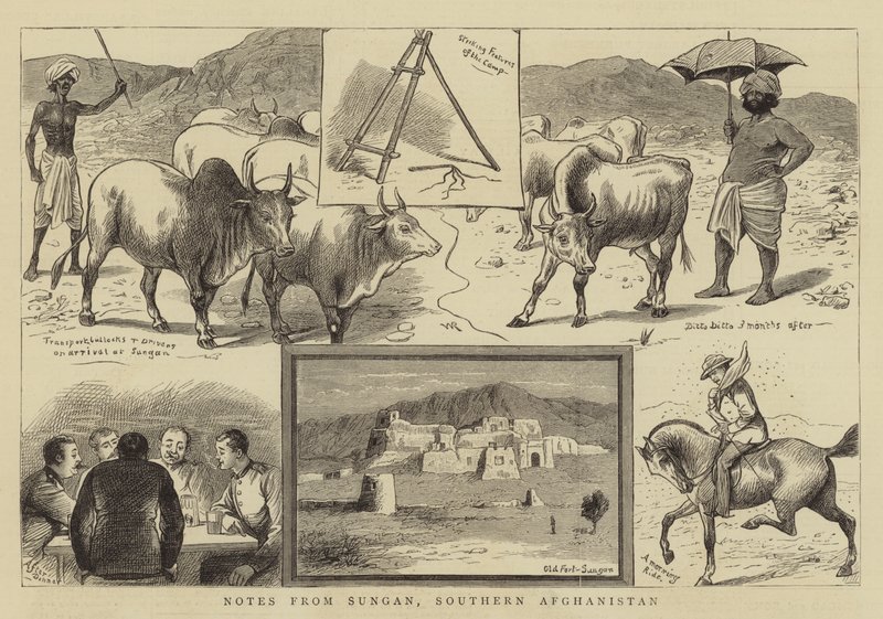 Notizen aus Sungan, Südafghanistan von William Ralston