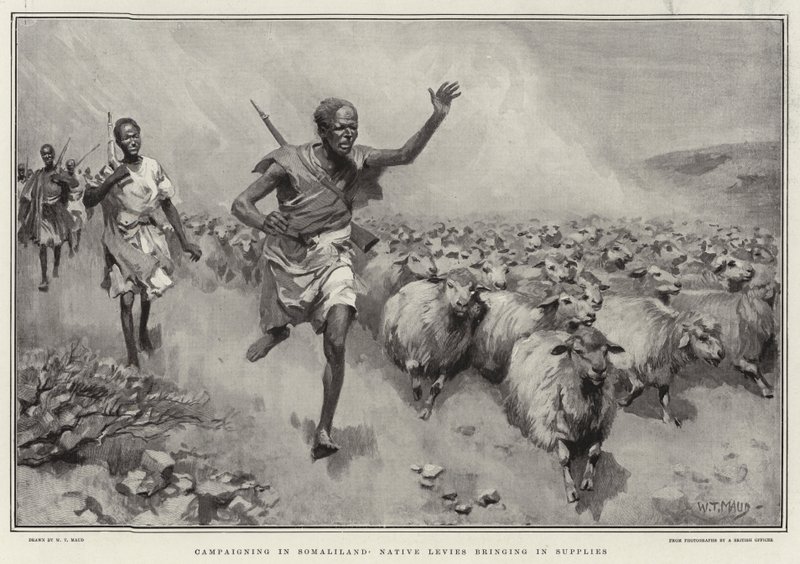Kampagne in Somaliland, einheimische Truppen bringen Vorräte von William T. Maud