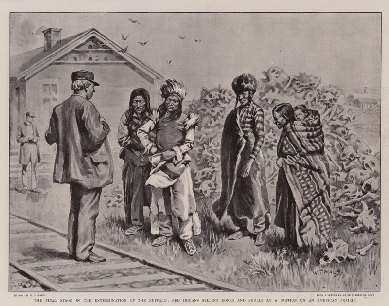 Die letzte Phase der Ausrottung des Büffels, Rothäute verkaufen Knochen und Schädel an einer Station auf einer amerikanischen Prärie von William T. Maud