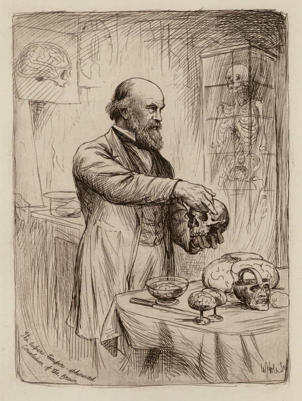 William Turner, Professor der Anatomie von William Brassey (after) Hole