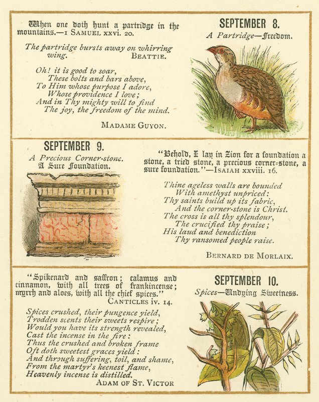 Seite aus dem Bibel-Emblem-Jubiläumsbuch von William Foster