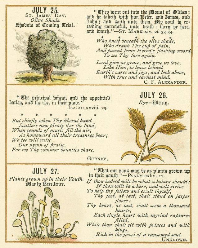 Seite aus dem Bibel-Emblem-Jubiläumsbuch von William Foster