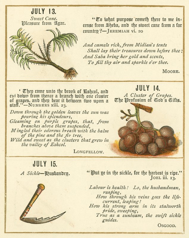 Seite aus dem Bibel-Emblem-Jubiläumsbuch von William Foster