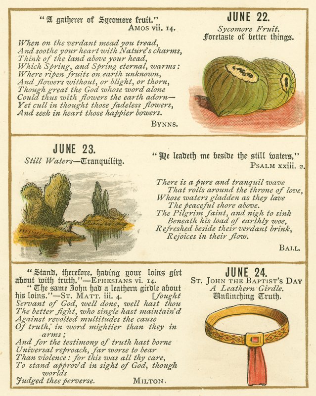 Seite aus dem Bibel-Emblem-Jubiläumsbuch von William Foster