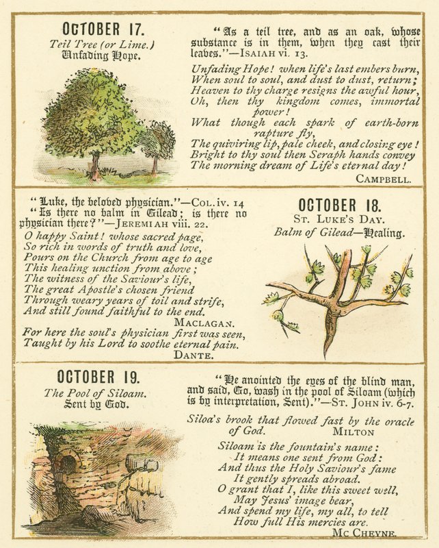 Seite aus dem Bibel-Emblem-Jubiläumsbuch (Farblithografie) von William Foster