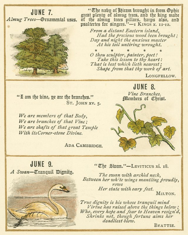 Seite aus dem Bibel-Emblem-Jubiläumsbuch von William Foster