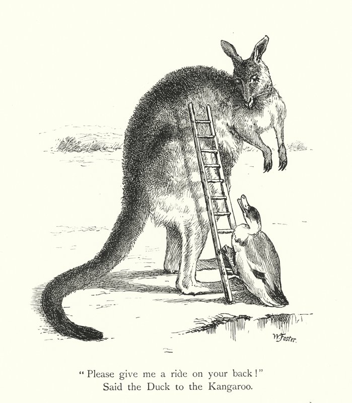 Die Ente und das Känguru (Gravur) von William Foster