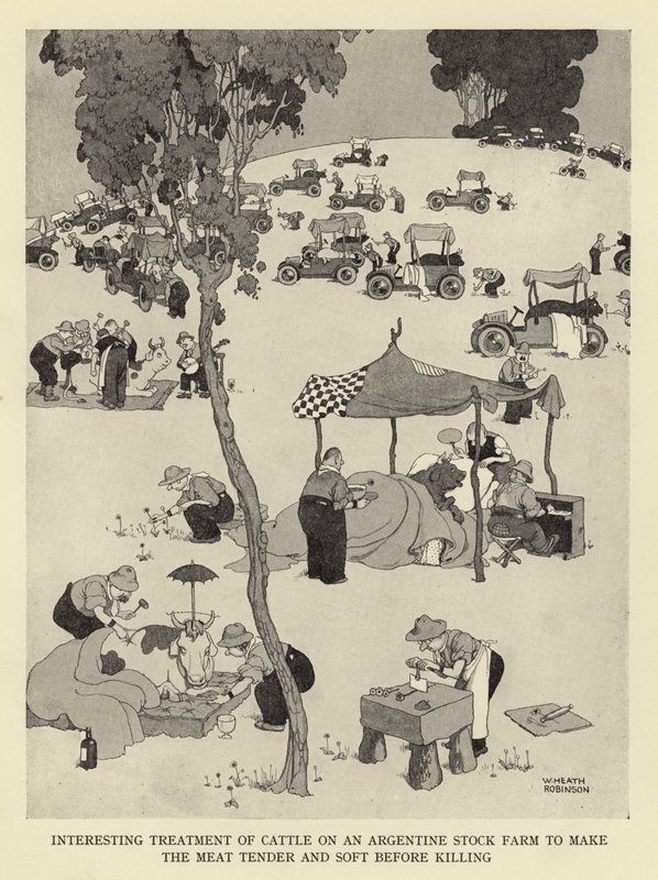 Interessante Behandlung von Rindern auf einer argentinischen Viehfarm, um das Fleisch vor dem Schlachten zart und weich zu machen von William Heath Robinson