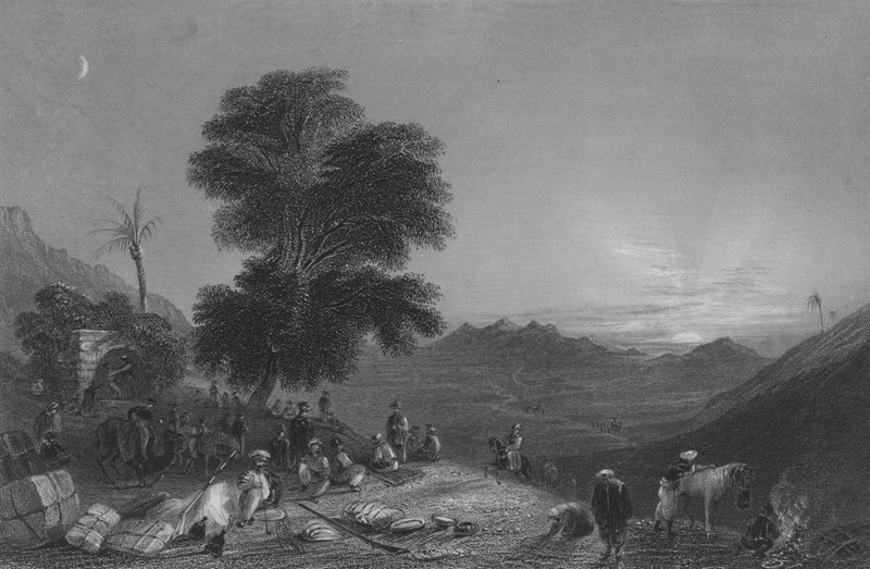 Halt einer Karawane in der Wüste von Girgola, nahe dem Berg Amanus von William Henry Bartlett