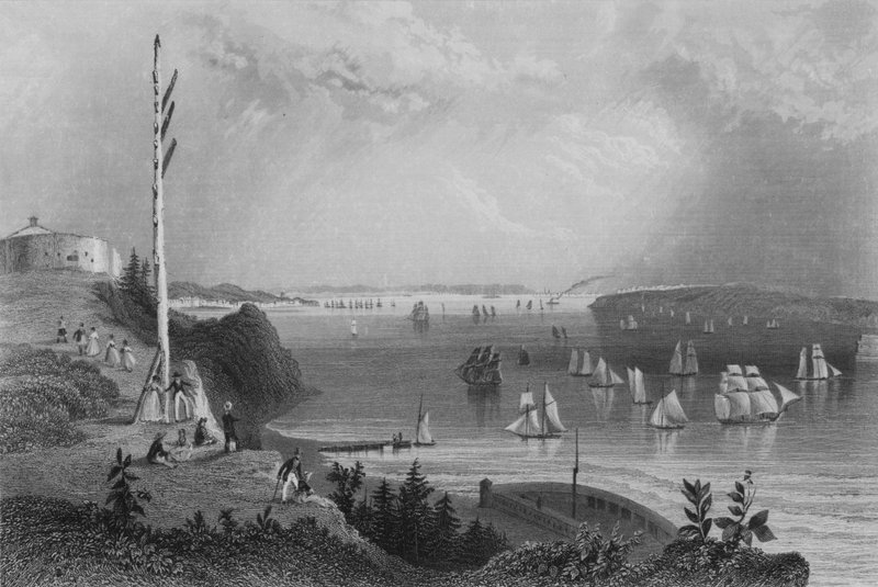 New York Bay, von der Telegraphenstation von William Henry Bartlett