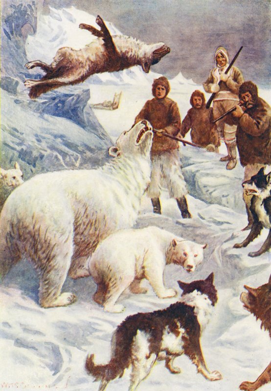 Illustration für Die Welt des Eises oder die Walfangreise der Dolphin von William Henry Charles Groome