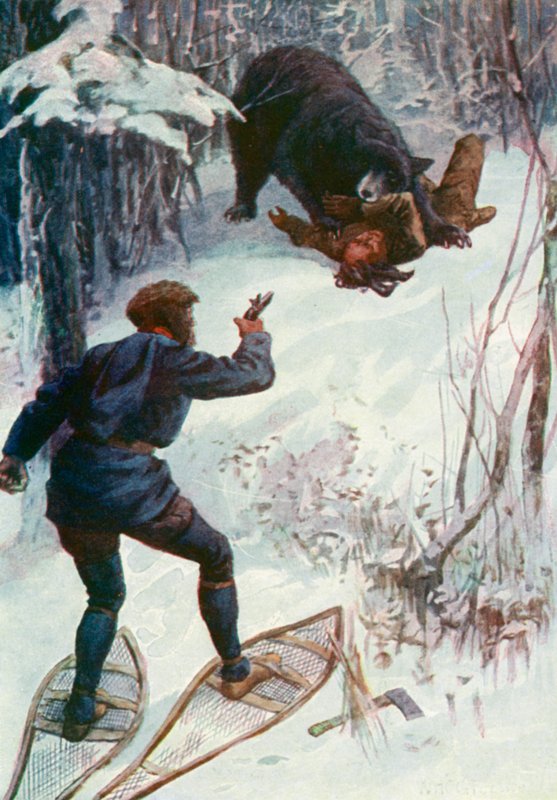 Der Bär stand über ihm und hielt einen seiner Arme im Maul von William Henry Charles Groome