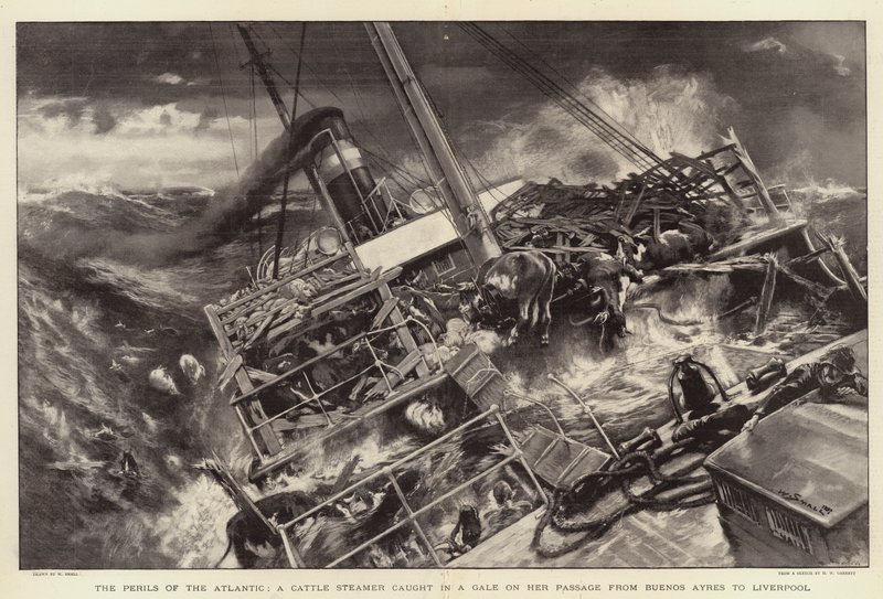 Die Gefahren des Atlantiks, ein Viehdampfer in einem Sturm auf ihrer Passage von Buenos Aires nach Liverpool von William Small