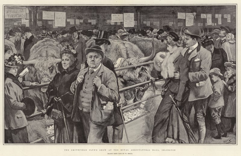 Die Smithfield Club Show in der Royal Agricultural Hall, Islington von William Small