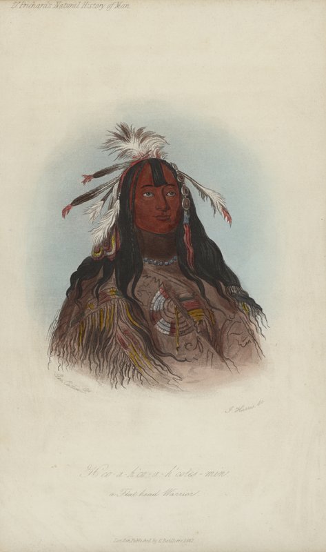 H?co-a-h?co-a-h?cotes-min, Ein Flachkopf-Krieger (Aquatinta) von after George Catlin