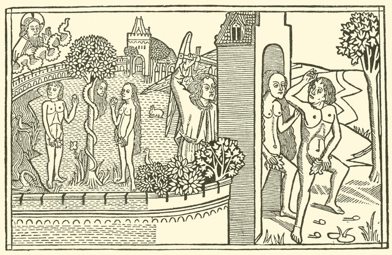 Adam und Eva, Der Garten Eden, Der Sündenfall von after German School