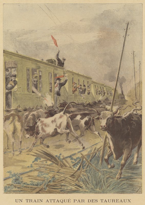 Ein Zug wird von Bullen angegriffen von after Henri Meyer