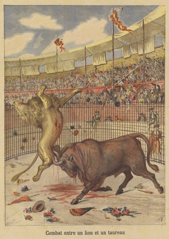 Kampf zwischen einem Löwen und einem Stier von after Henri Meyer