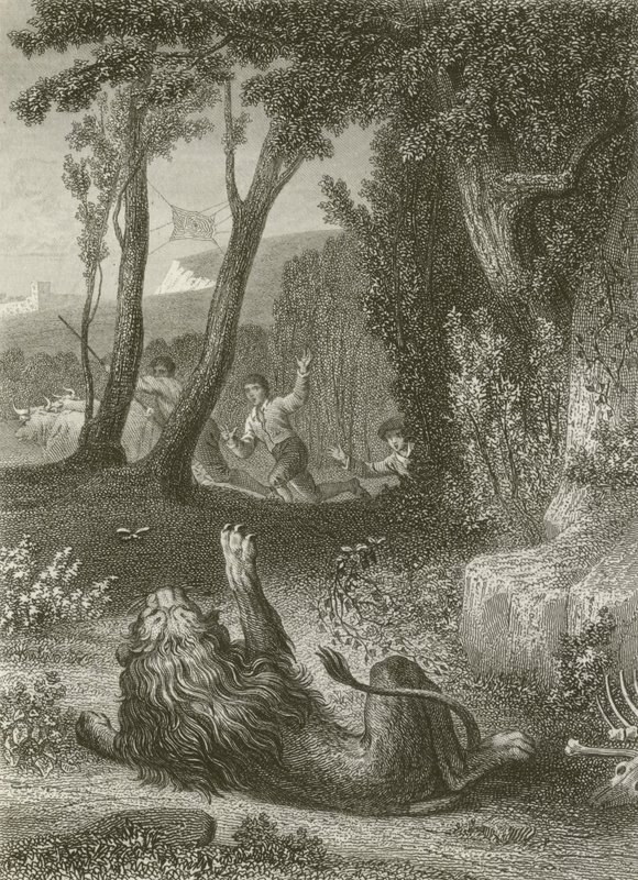 Der Löwe und die Mücke von after Tony Johannot