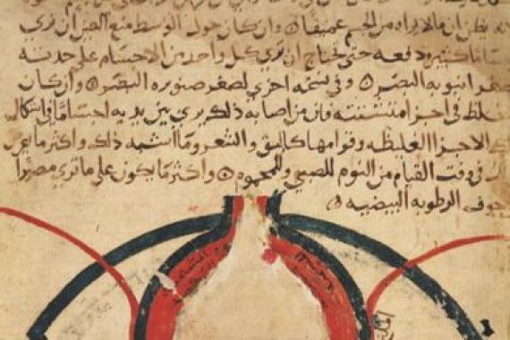 Al-Mutadibi