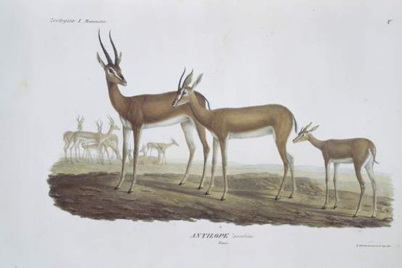 Friedrich Leopold Bürde