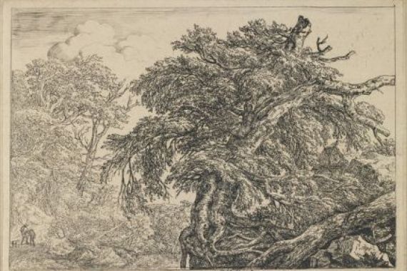 Jacob I. van Ruisdael