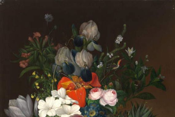 Johanna Salm-Reifferscheidt