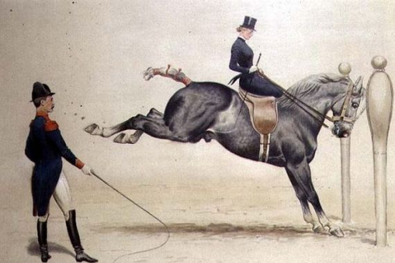 John Harrington-Bird