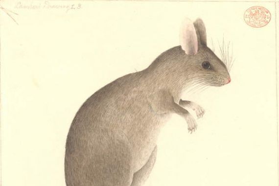 Thomas (attr.to) Watling