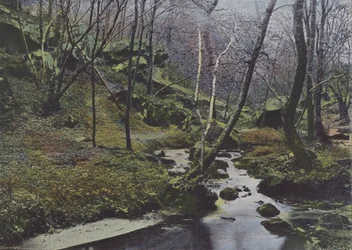 Vaux de Cernay, Les Cascades