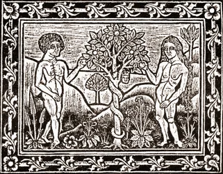 Der Baum, von dem Adam den Apfel aß, Faksimile aus einem Meditationsbuch, das erste Buch, das 1481 in Albi, Languedoc, gedruckt wurde