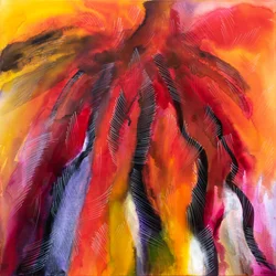 Feuerqualle