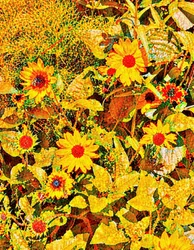 Sonnenblumen für Van Gogh