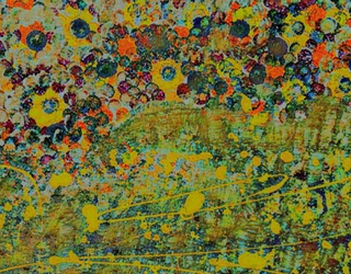 Blumen-Symphonie