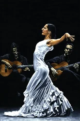 Konzentration der Flamenco-Performance