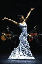 Finale des Flamenco-Auftritts