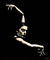 Flamenco-Arme