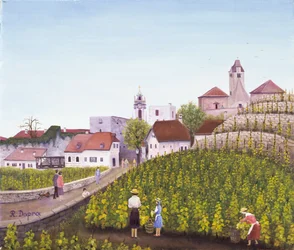 Weinlese in Dürnstein