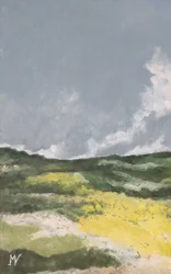 Felder mit gelben Blumen 1