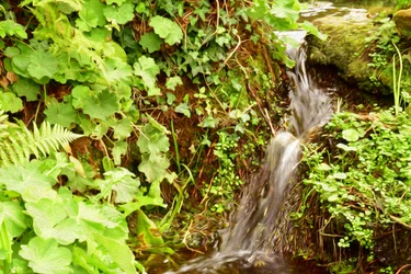 Natur Landschaft