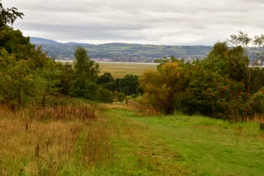 Natur Landschaft