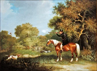 Fasanenjagd