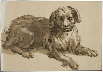 Langhaariger Hund