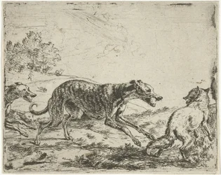 Fuchs und die drei Hunde