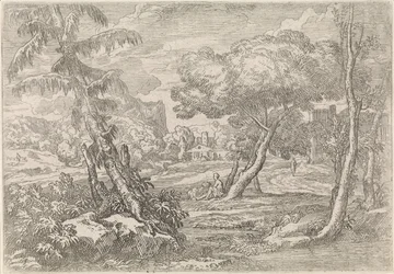 Waldlandschaft