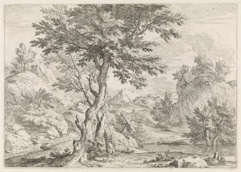 Hügelige Landschaft mit Felsen